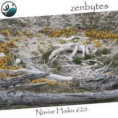 some starlight - Naviarhaiku620