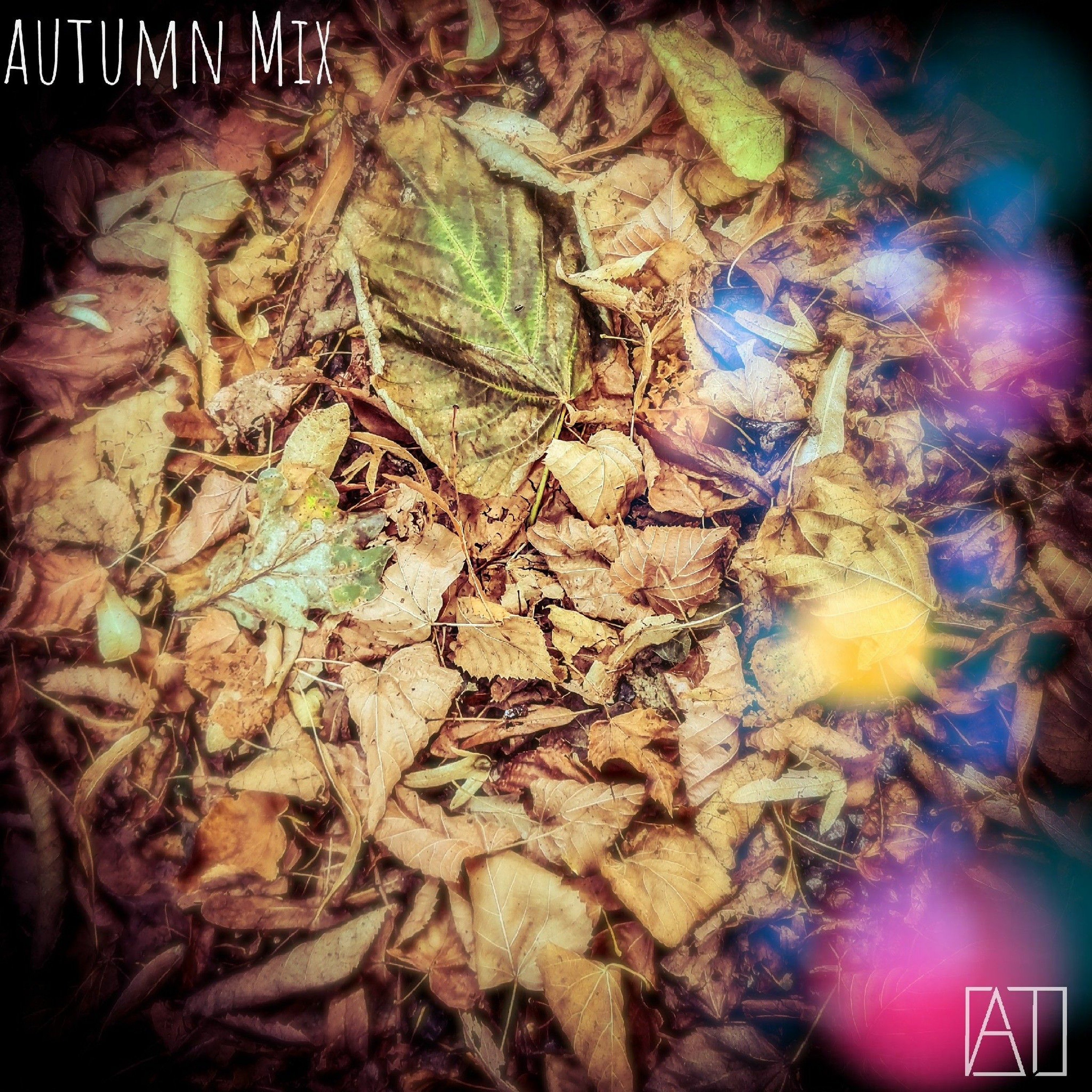 Adam\'s Mixes