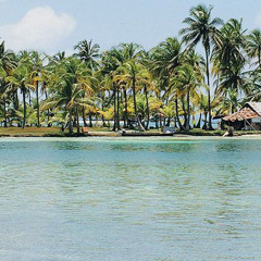Sex Island