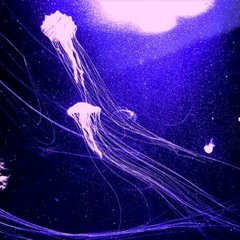 06022020