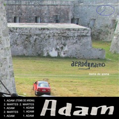 Adam (Items de Arena)