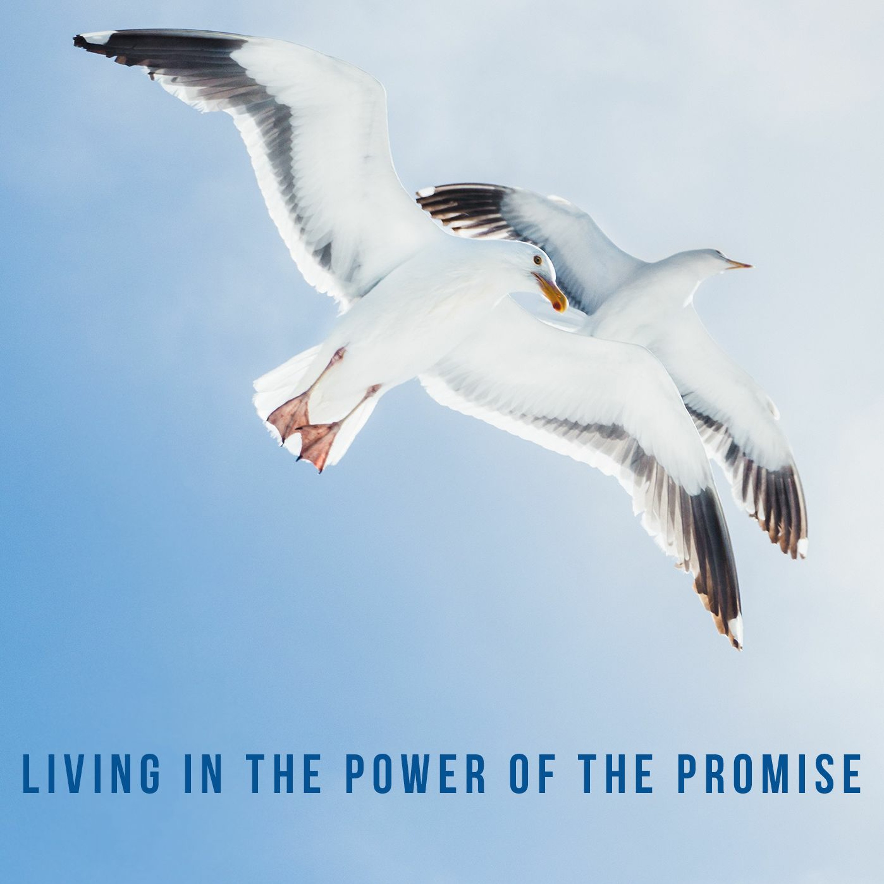 Living in the Power of the Promise