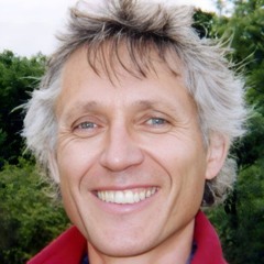 Embodying the Three Fold Way (Dharmabytes Podcast)