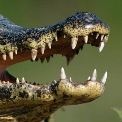 MealTime (prod. guami)