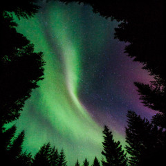 Hellig - Live