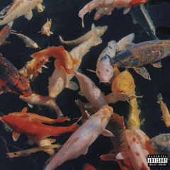 Money Over Everything