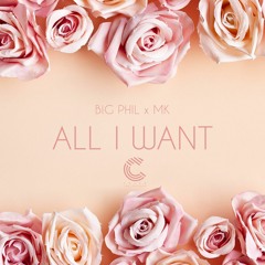 All I Want (Feat. MK) - Prod.King Izi
