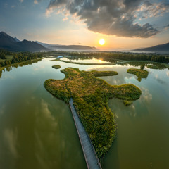 Zabrana oddalona - 2