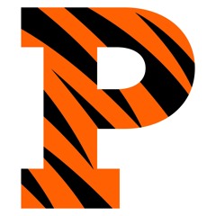 Princeton University Women's Lacrosse Warmup Mixtape By DJ Tristan (2024-2025 Full Clean)