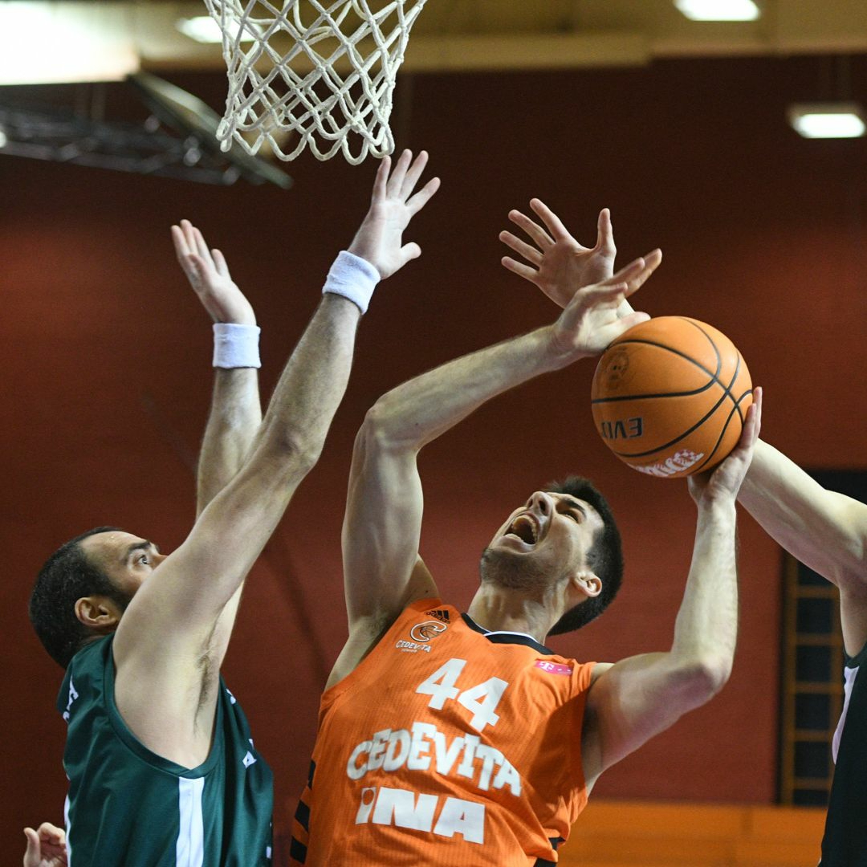 kkcedevita