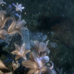 Still Alive for u feat.angelize (p.びっくどっく)