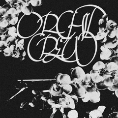 Wizae - Royals Bootleg!