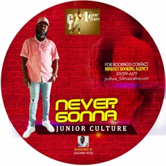 Junior Culture - Never Gonna