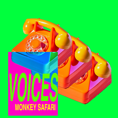 Premiere: Monkey Safari - Voices [Good Vibes From Paradise]