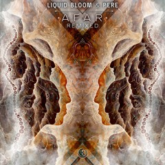 Liquid Bloom & PERE -  Riding Through (Dr Parnassus Remix)