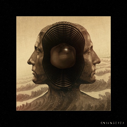 Manuel Nunez - Unknown Door [Endangered]