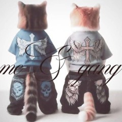 พี่โร่ & เซ้ป - ซาติน (Satin Cover)