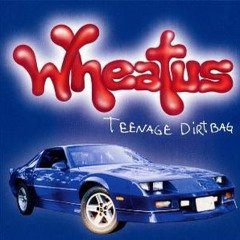 Teenage Dirtbag - Wheatus (sped up)