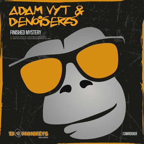 Denoiserzs & Adam Vyt - Finished Mystery (Party Acid Mix)