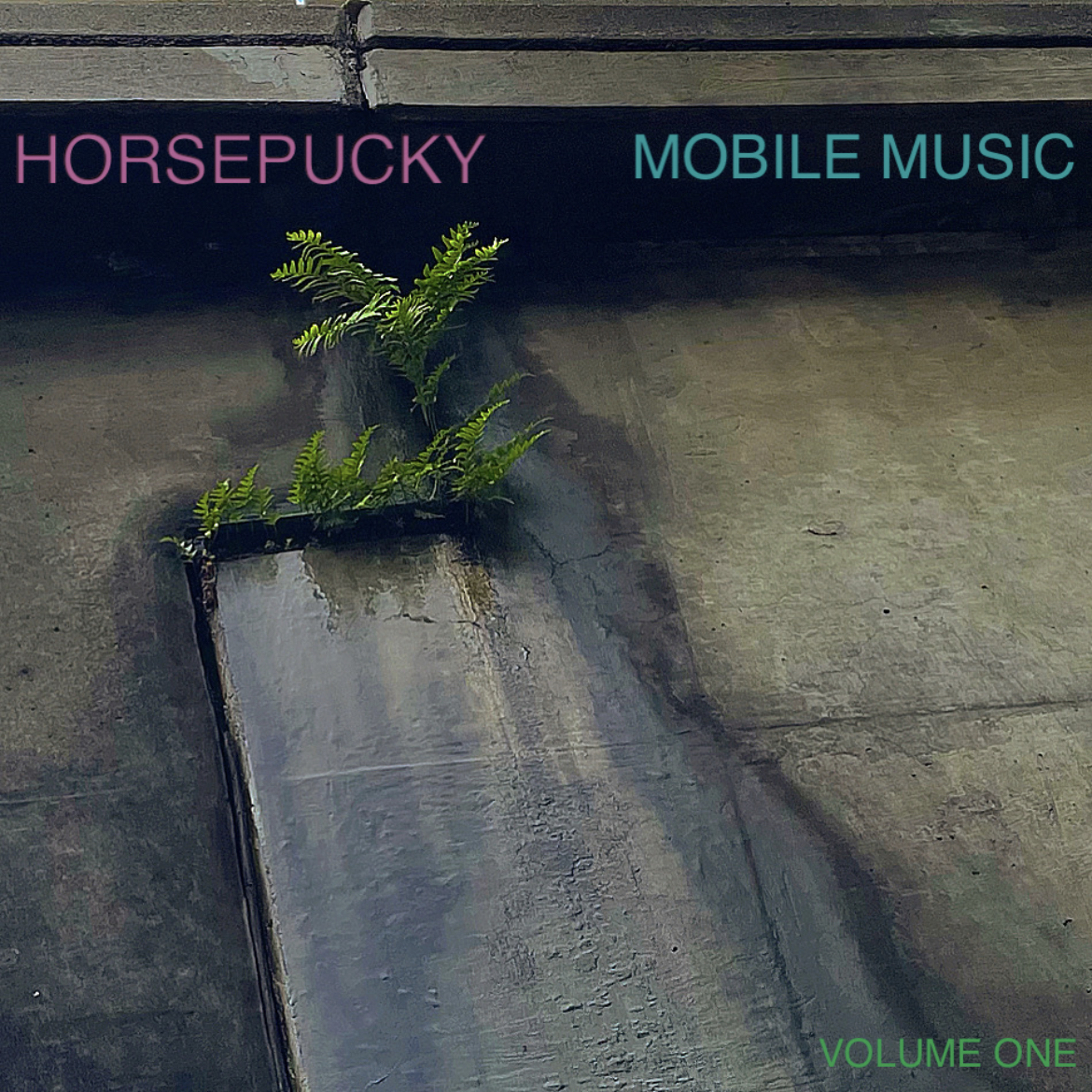 Horsepucky / Terra Firma Music