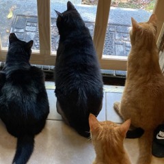 vonniesaint- mold (prod. karuma)