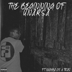 The beginning of u.n.a.r.s.a ft numba 015 & Tikas