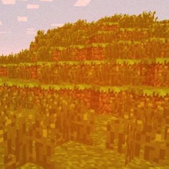 NEVER PLAY WITH ME AGAIN