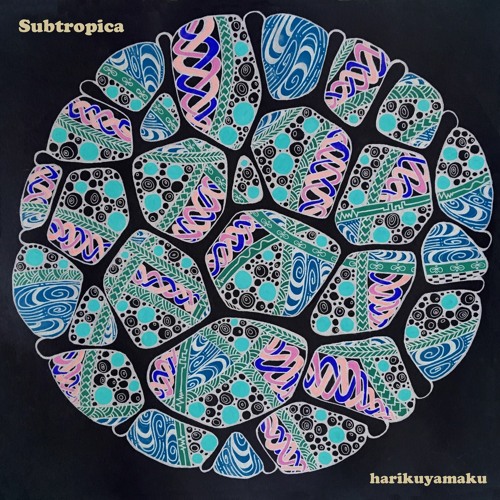 Subtropica (short Clip)... Soundscape Okinawa