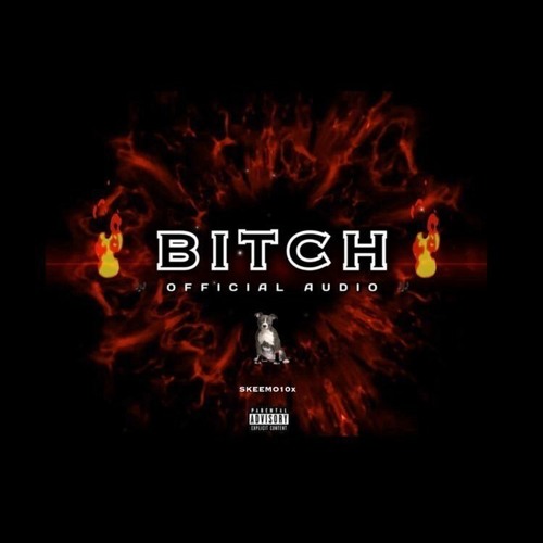 SKEEMO10X - BITCH