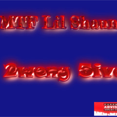 MTF_Lil_Shaun-2weny_5ive(official_audio)