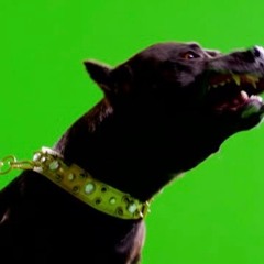 Pictures [prod. w1erdo]