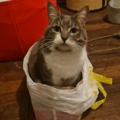 LOST CONTROL - FREESTYLE