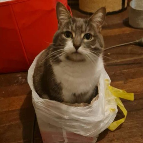 LOST CONTROL - FREESTYLE