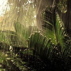 UNSIGNED ARTIST PLAYLIST (WATER YOUR DREAMS)