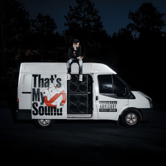 Белуга Freestyle