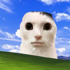 Lave ton gland (remix)