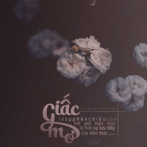 (DEMO) Giấc Mơ Một Cuộc Tình - HinCoi