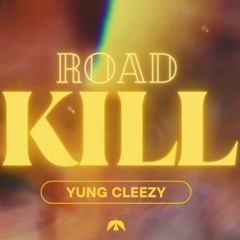 Road Kill (Official Audio)