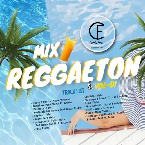 Stream MIX REGGAETON VOL 01 DJ CUSTHOFLOW 2024 by Deejay Custho
