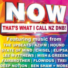 New Zealand Drum & Bass Mix NZ DNB