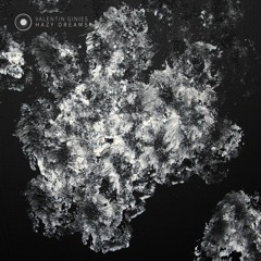 Valentin Ginies - Hazy [11001 Records]