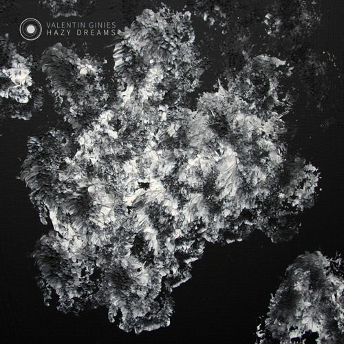 Valentin Ginies - Hazy [11001 Records]