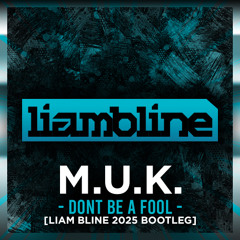 MASH UP KINGS -  DONT BE A FOOL [LIAM BLINE 2025 BOOTLEG]