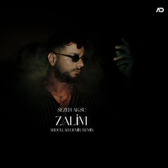 Sezen Aksu -Zalim ( Abdullah Demir Remix )