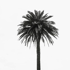 Afro- and Organic Tech-House, played @Loft (Tech That!)