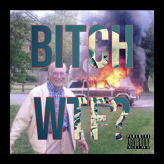 Bitch, WTF? (feat P-Jizzle)