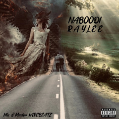 Naboodi (Freestyle)