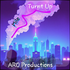 Turnt Up (Milo)