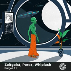Premiere: Zeitgeist & Whiplash - Pulgas
