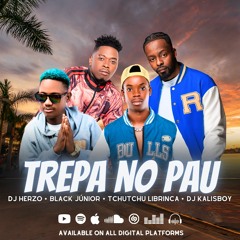 TREPA NO PAU - DJ HERZO FEAT. BLACK JÚNIOR, TCHUTCHU LIBRINCA & DJ KALISBOY